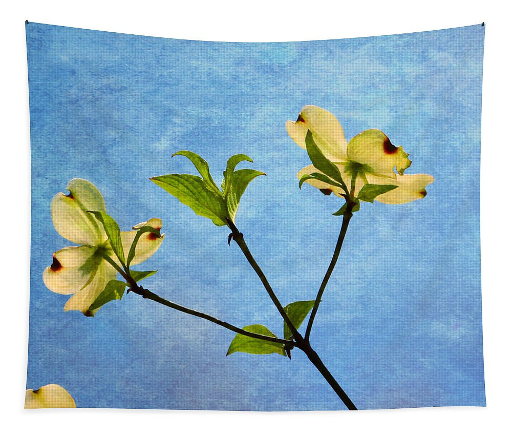 Dogwood Tapestry featuring the photograph Dogwood In Spring by Deena Stoddard