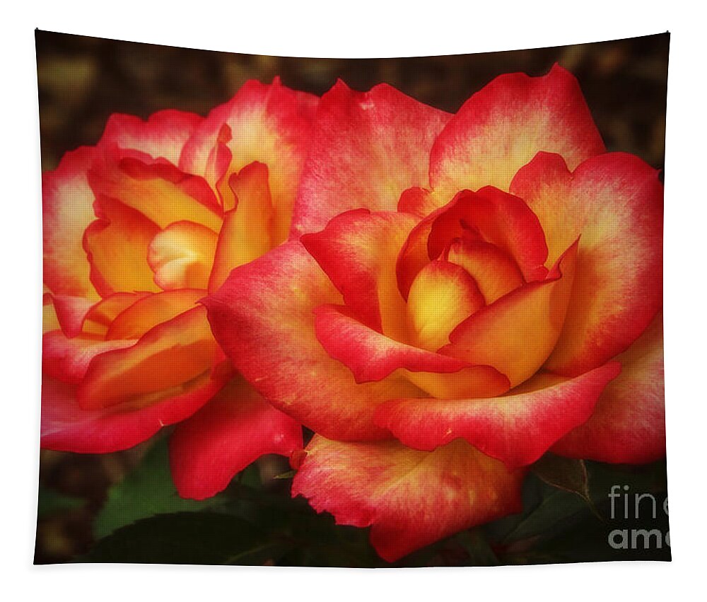Two Roses Tapestry featuring the photograph Double The Delight by Elizabeth Winter