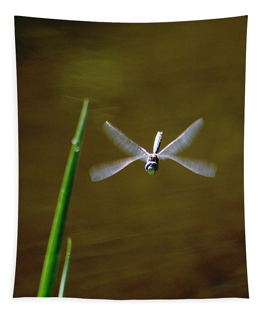 Dragonflies Tapestry featuring the photograph Dragonflight by Ben Upham III