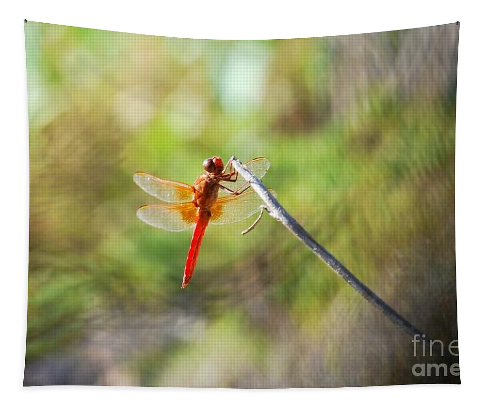 Claudia's Art Dream Tapestry featuring the photograph Dragonfly by Claudia Ellis