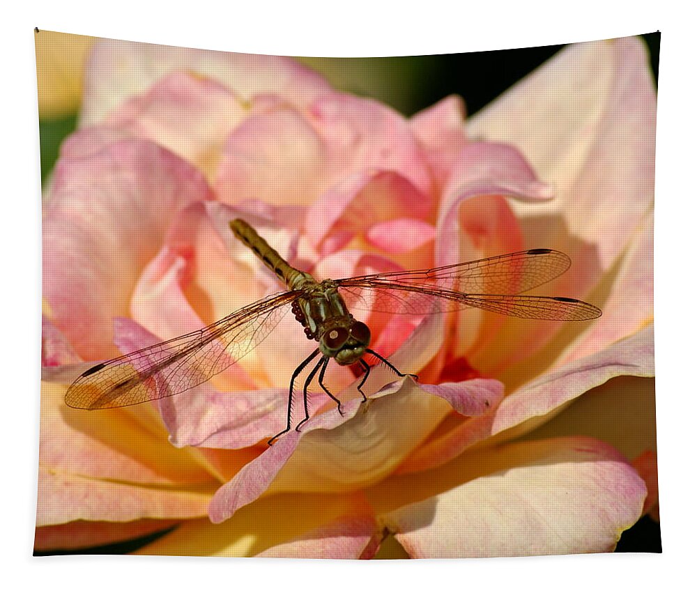 Dragonflies Tapestry featuring the photograph Dragonfly on a Rose by Ben Upham III