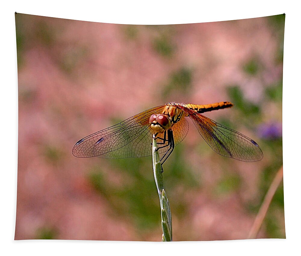 Dragonflies Tapestry featuring the photograph Dragonfly by Rona Black
