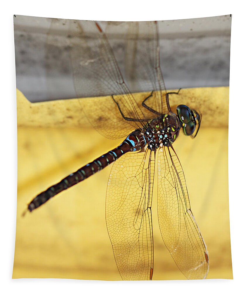 Dragonfly Tapestry featuring the photograph Dragonfly Web by Melanie Lankford Photography