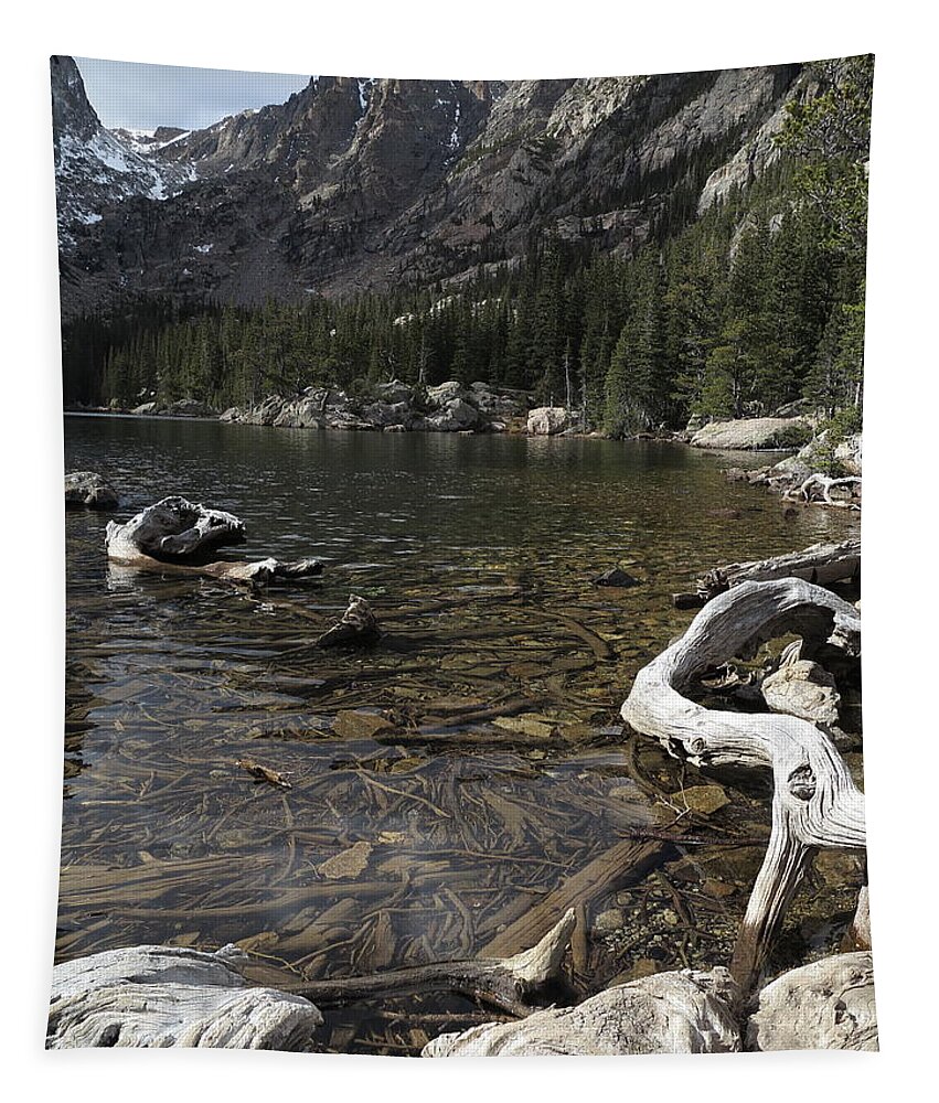 Lake Tapestry featuring the photograph Dream Lake 1 by Jessica Myscofski