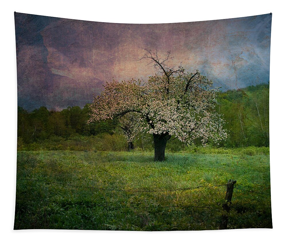 Image By Jeff Folger Tapestry featuring the photograph Dream of Spring by Jeff Folger