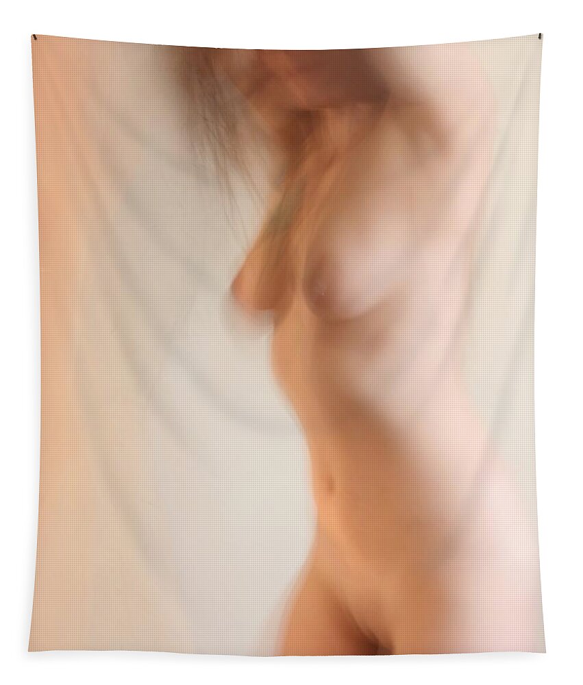 Fantasy Tapestry featuring the photograph Dream Series 12 by Joe Kozlowski