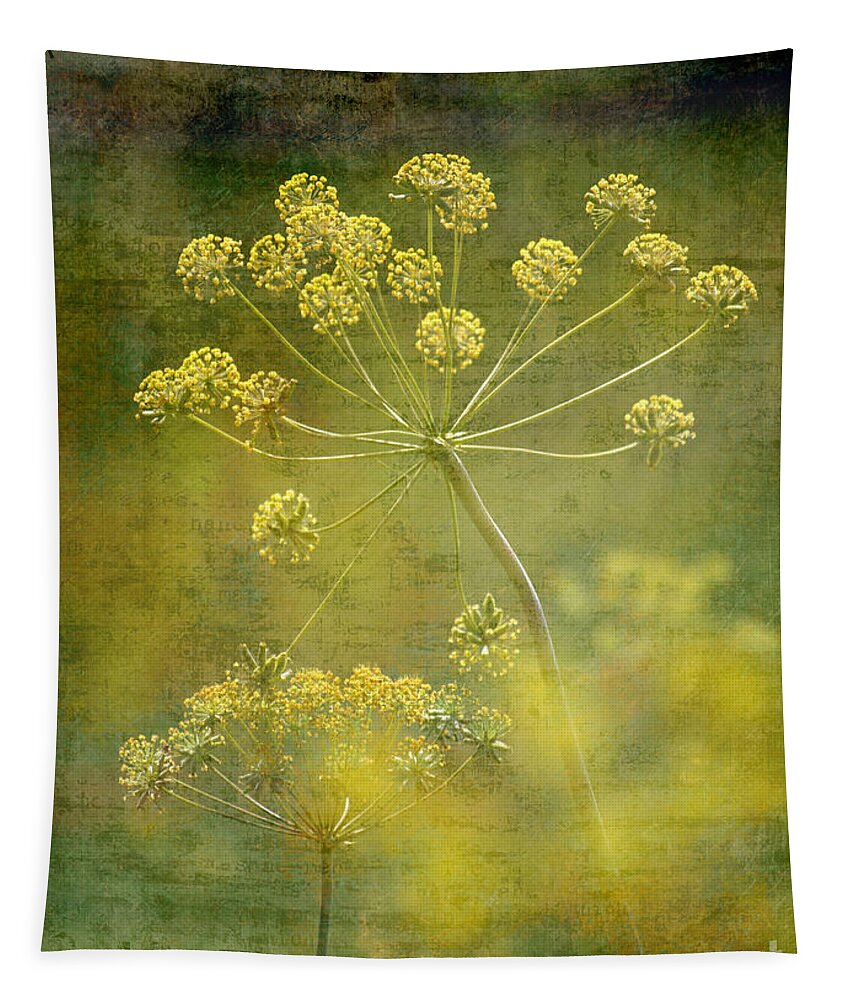 Wild Flower Tapestry featuring the photograph Dream by Sharon Elliott