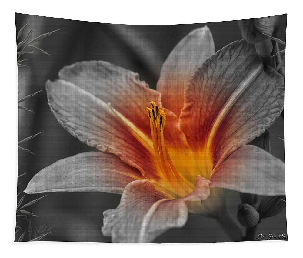 Lily Tapestry featuring the photograph Dreamer by Jeanette C Landstrom