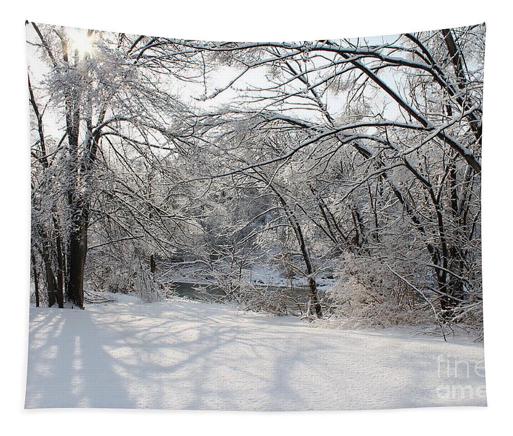 Winter Tapestry featuring the photograph Dressed in Snow by Nina Silver