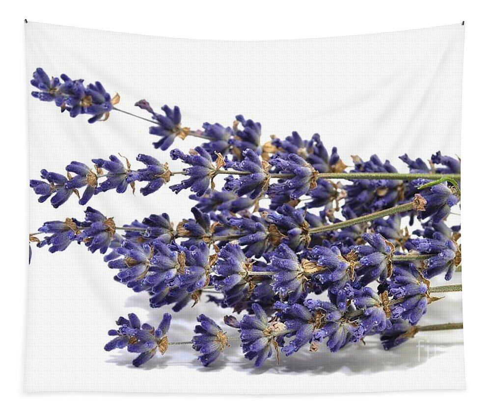 Lavender Tapestry featuring the photograph Dried lavender by Martin Capek