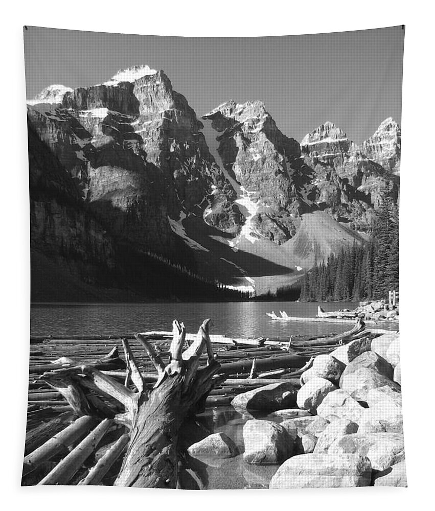 Driftwood Tapestry featuring the photograph Driftwood - Black and White by Marcia Socolik