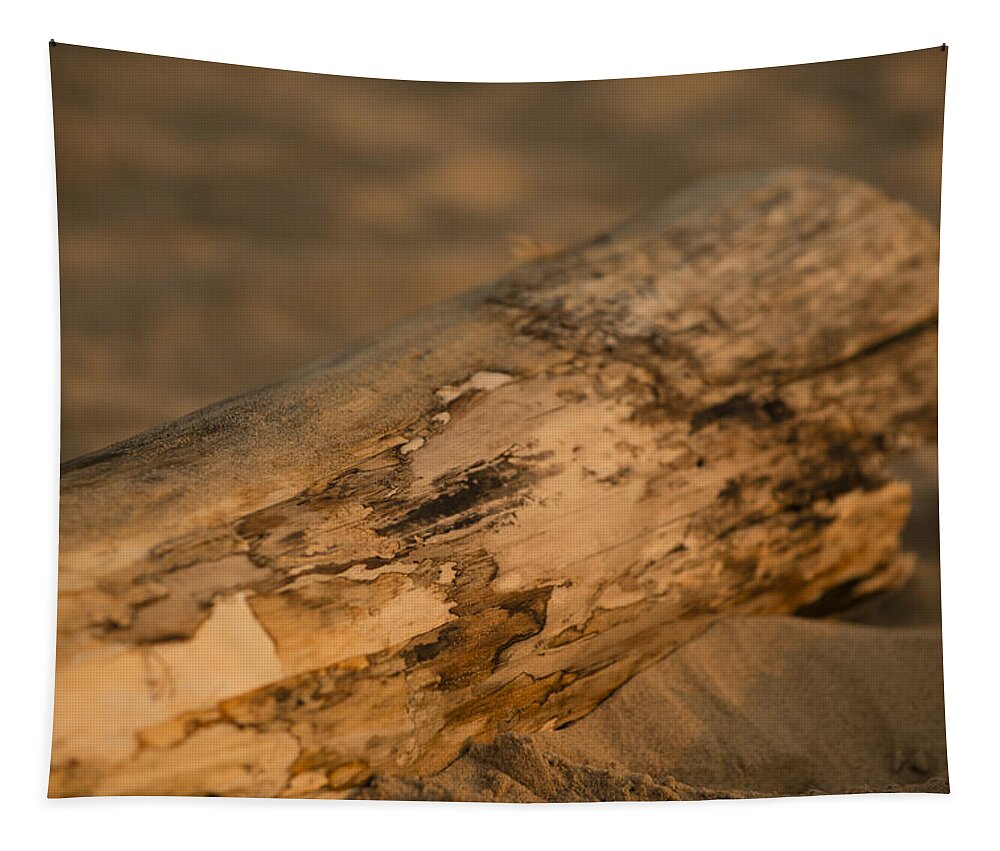 Michigan Tapestry featuring the photograph Driftwood by Sebastian Musial