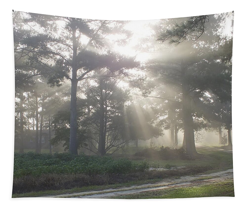Driveway To Paradise Tapestry featuring the photograph Driveway to Paradise by Mike McGlothlen