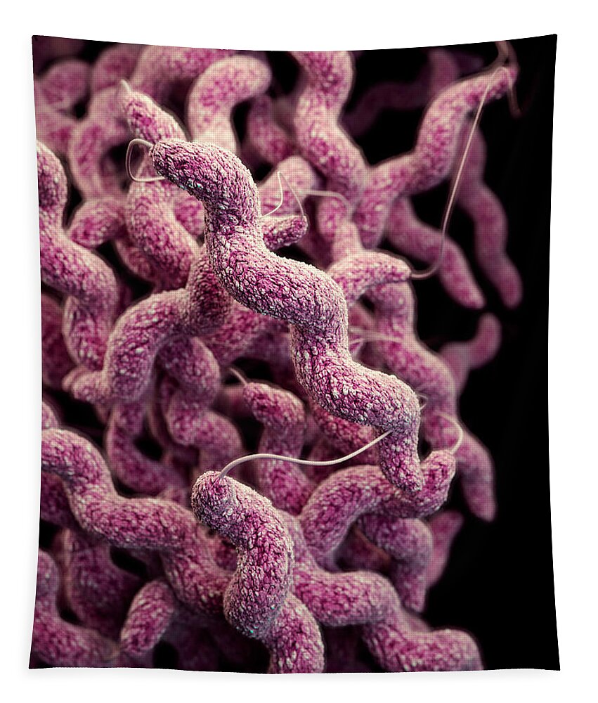 Drug Resistant Tapestry featuring the photograph Drug-resistant Campylobacter by Science Source