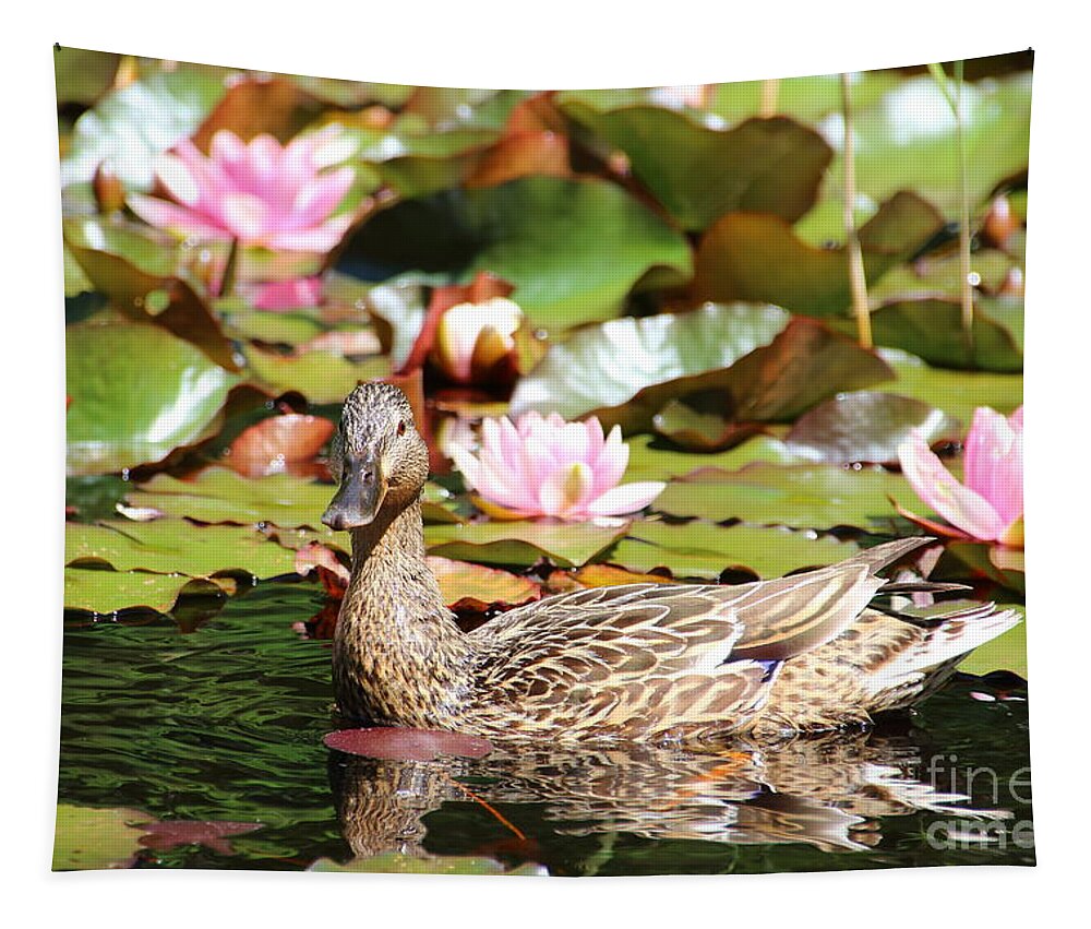 Lilies Tapestry featuring the photograph Duck in the Water Lilies by Amanda Mohler