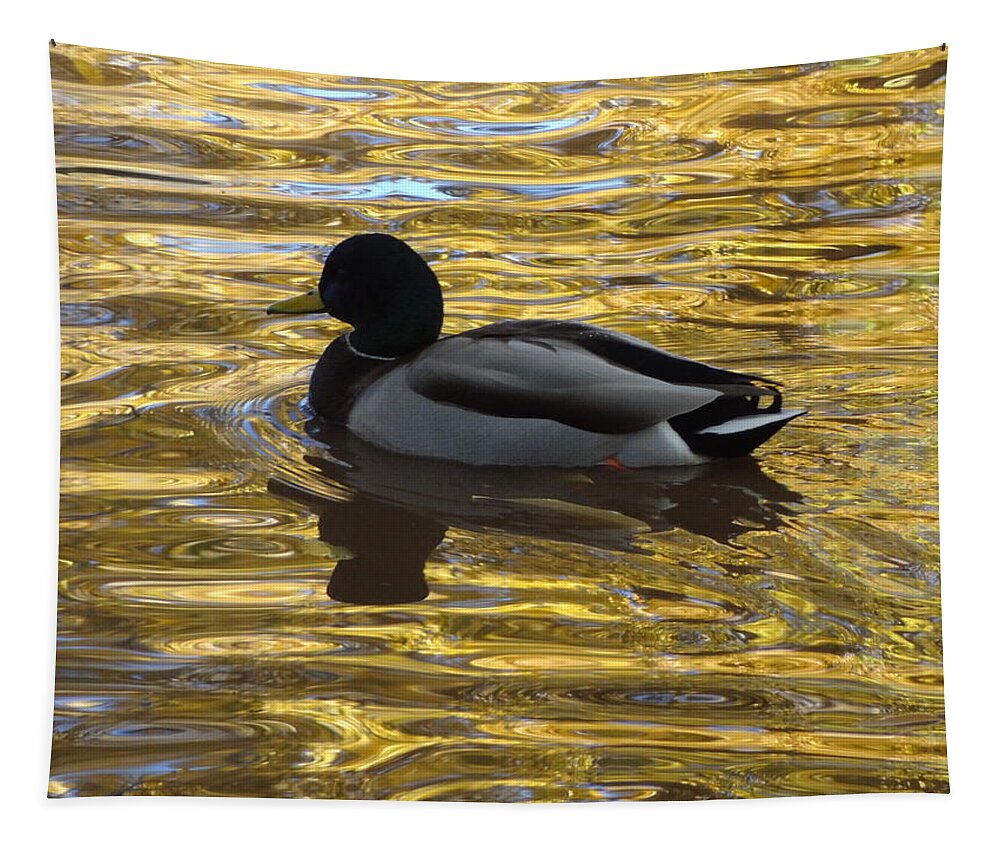 Duck Tapestry featuring the photograph Duck on Water I by Lanita Williams