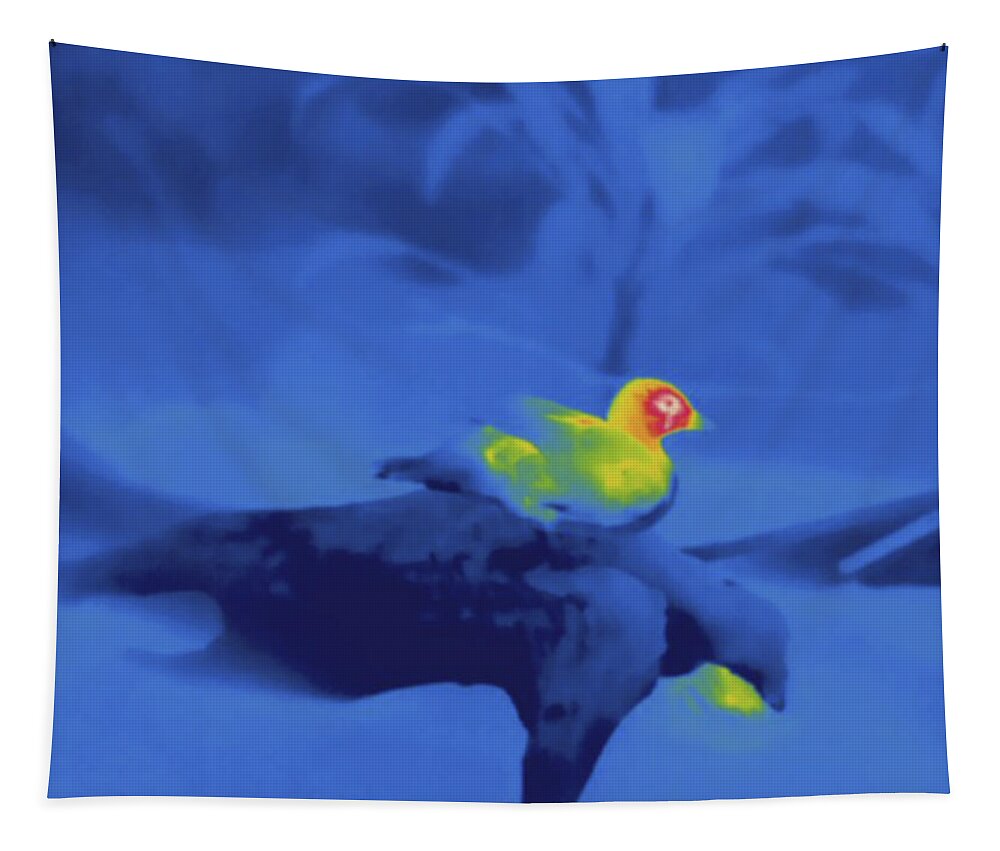 Thermography Tapestry featuring the photograph Duck, Thermogram by Science Stock Photography