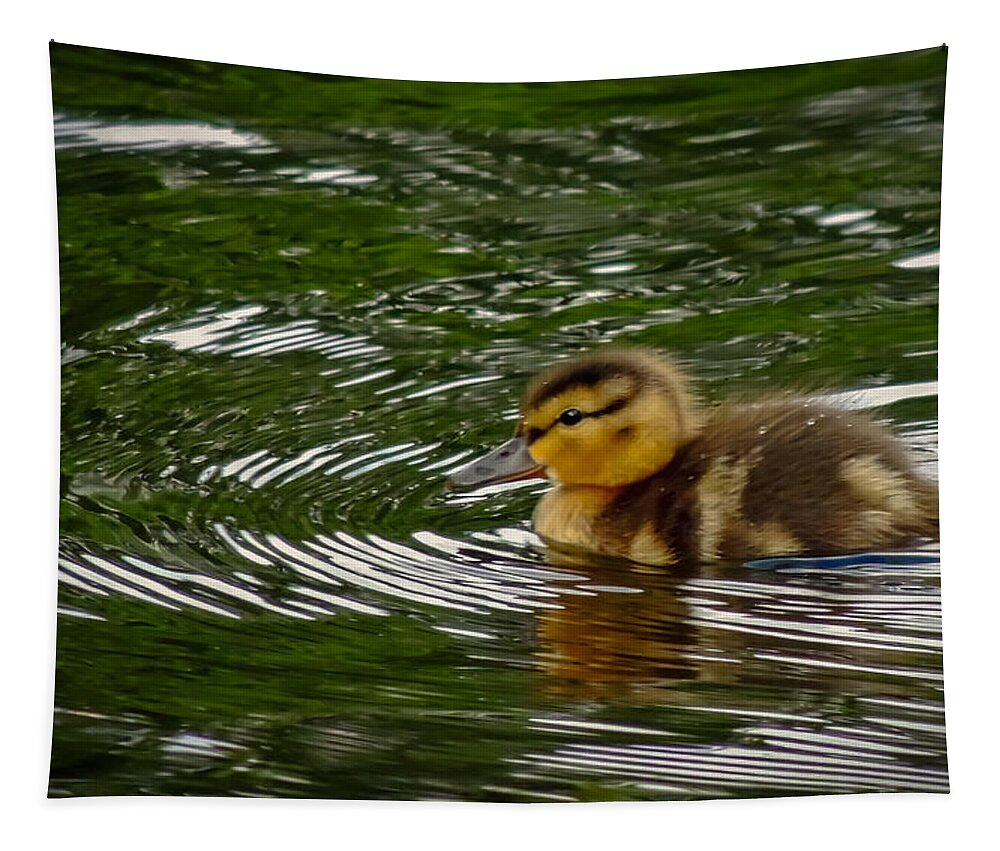 Nature Tapestry featuring the photograph Duckling by Robert Mitchell