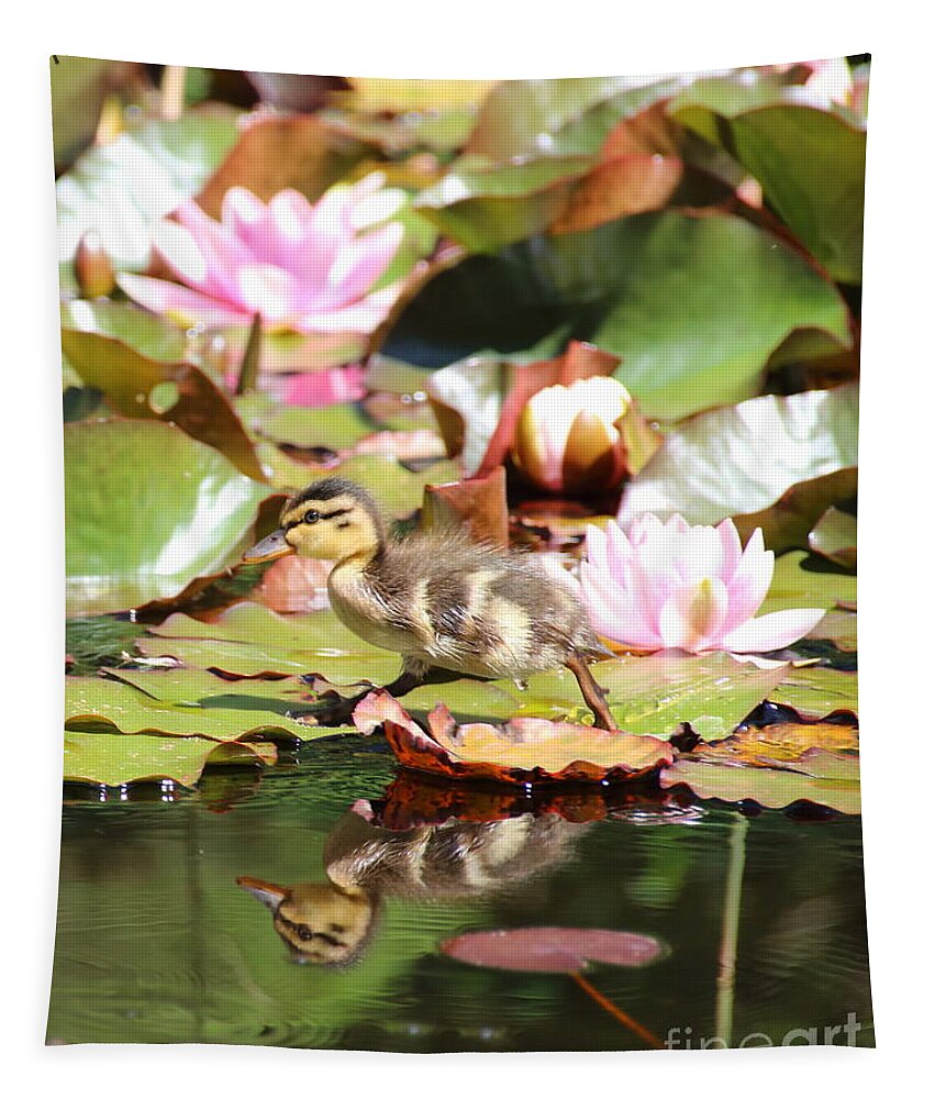 Ducklings Tapestry featuring the photograph Duckling running over the Water Lilies 2 by Amanda Mohler