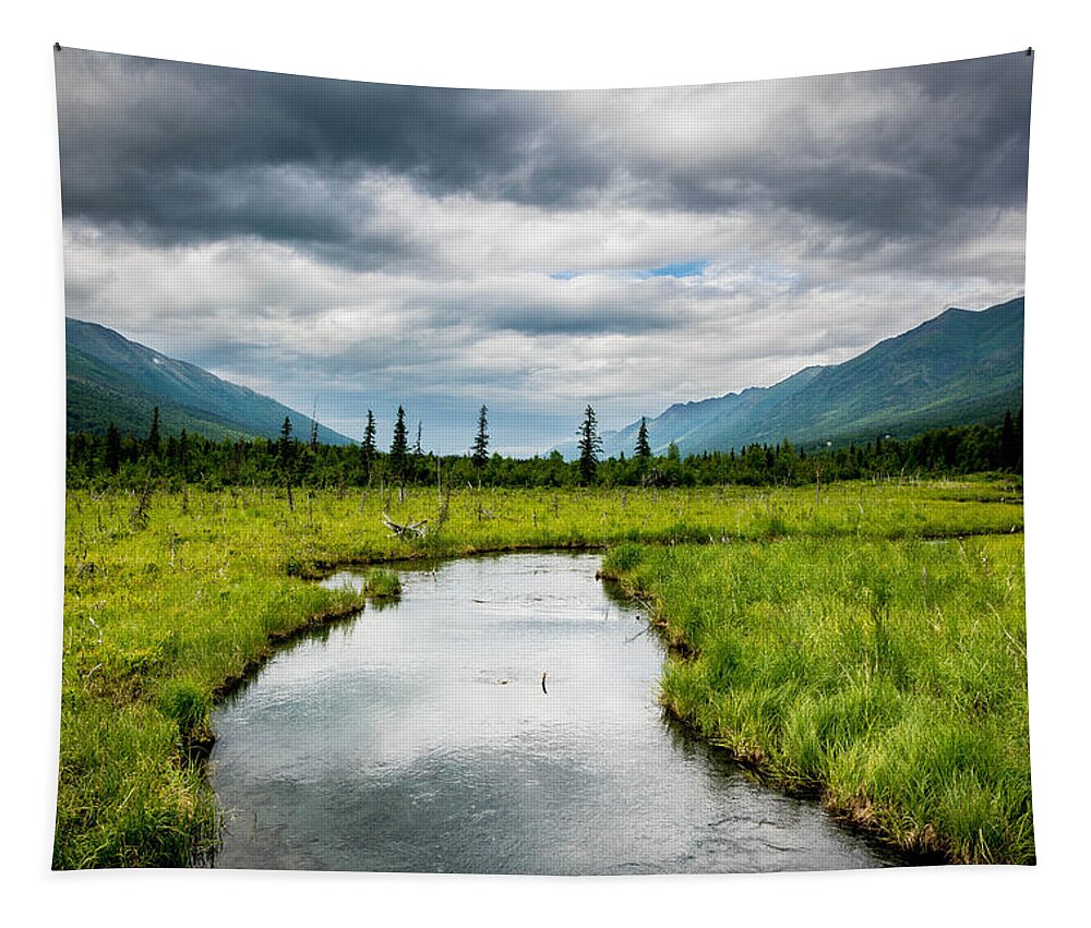 Meadow Tapestry featuring the photograph Eagle River Nature Center by Andrew Matwijec