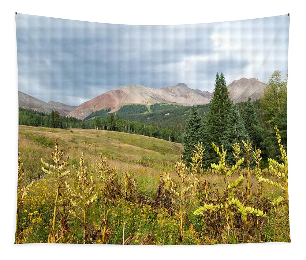 San Juans Tapestry featuring the photograph Early Autumn in the San Juans - Mount Wilson and Wilson Peak by Cascade Colors