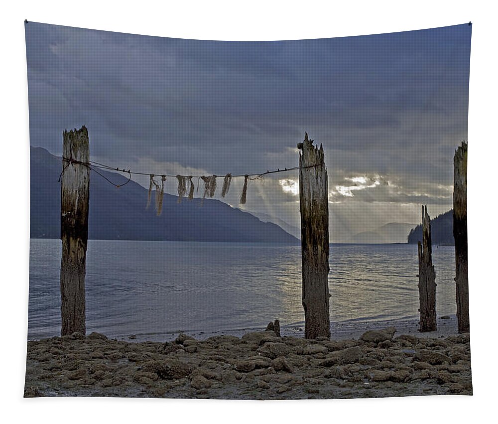 Treadwell Tapestry featuring the photograph Early Morning by Cathy Mahnke