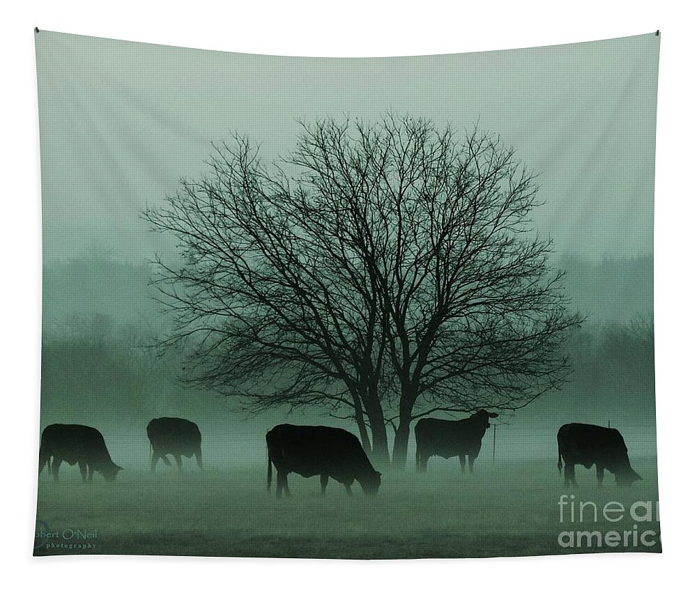 Morning Fog Tapestry featuring the photograph Early Morning Fog 003 by Robert ONeil