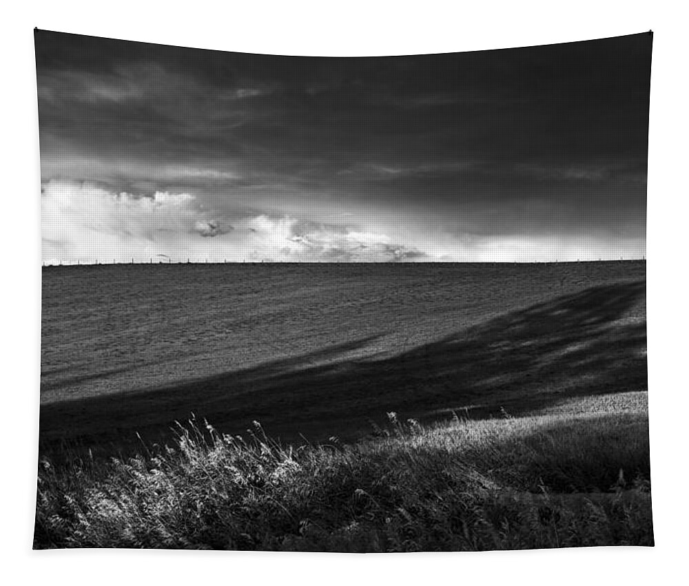 Black And White Tapestry featuring the photograph Earth Voices by Theresa Tahara