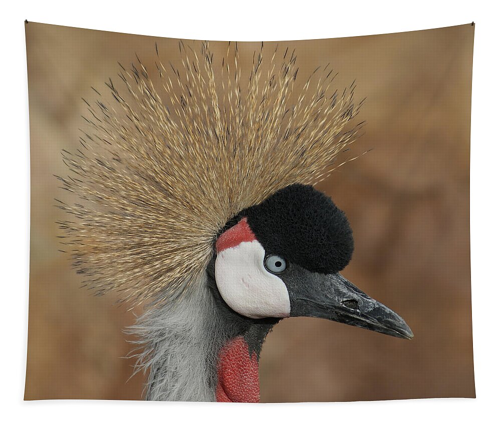 African Crowned Cranes Tapestry featuring the photograph East African Crowned Crane by Ernest Echols