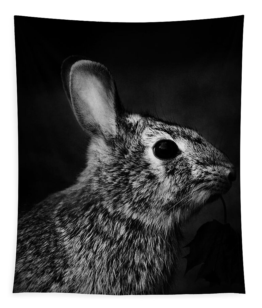 Nature Tapestry featuring the photograph Eastern Cottontail Rabbit Portrait by Rebecca Sherman
