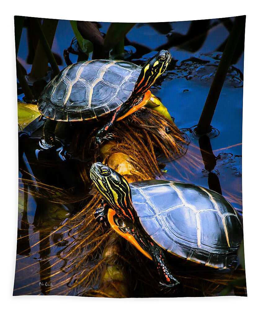 Reptile Tapestry featuring the photograph Eastern Painted Turtles by Bob Orsillo