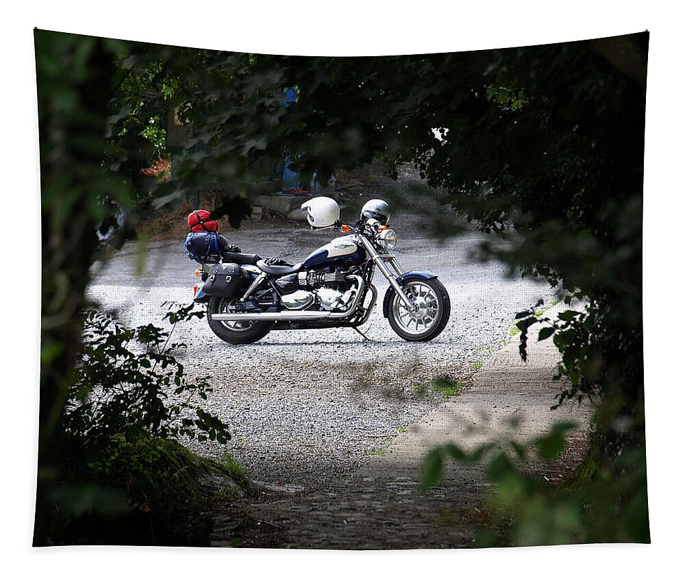 Motorbikes Tapestry featuring the photograph Easy Rider by Richard Denyer