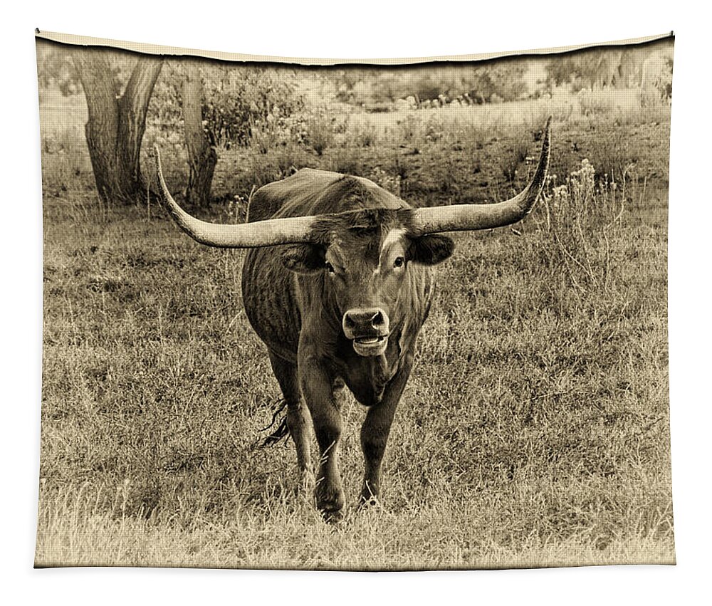 Longhorn Cattle Tapestry featuring the photograph Eat Leaf Not Beef Sepia by Priscilla Burgers