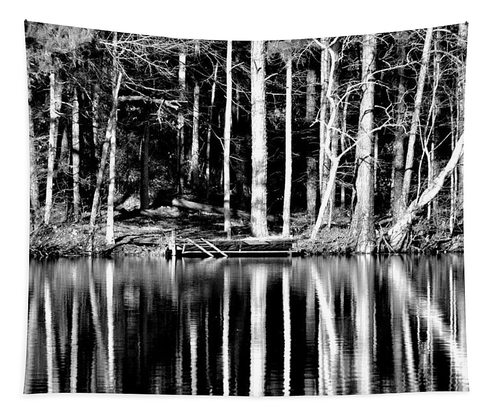 Trees Tapestry featuring the photograph Echoing Trees by Tara Potts