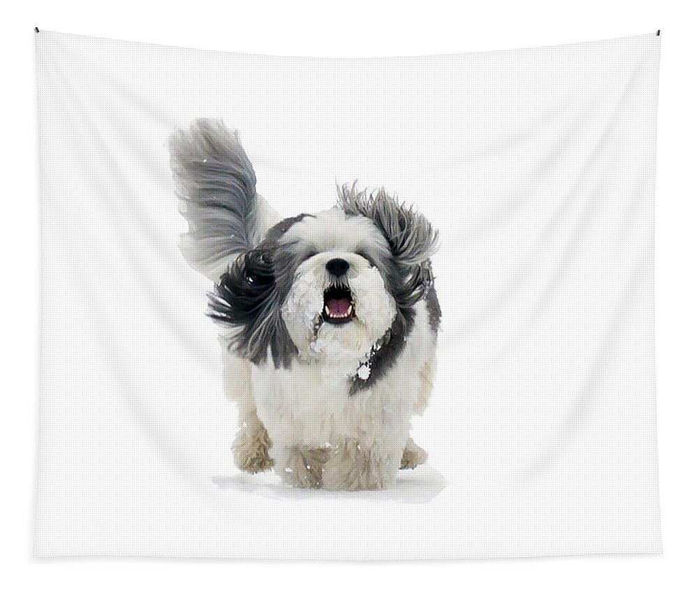 Coton De Tulear Tapestry featuring the photograph Ecstasy by Keith Armstrong