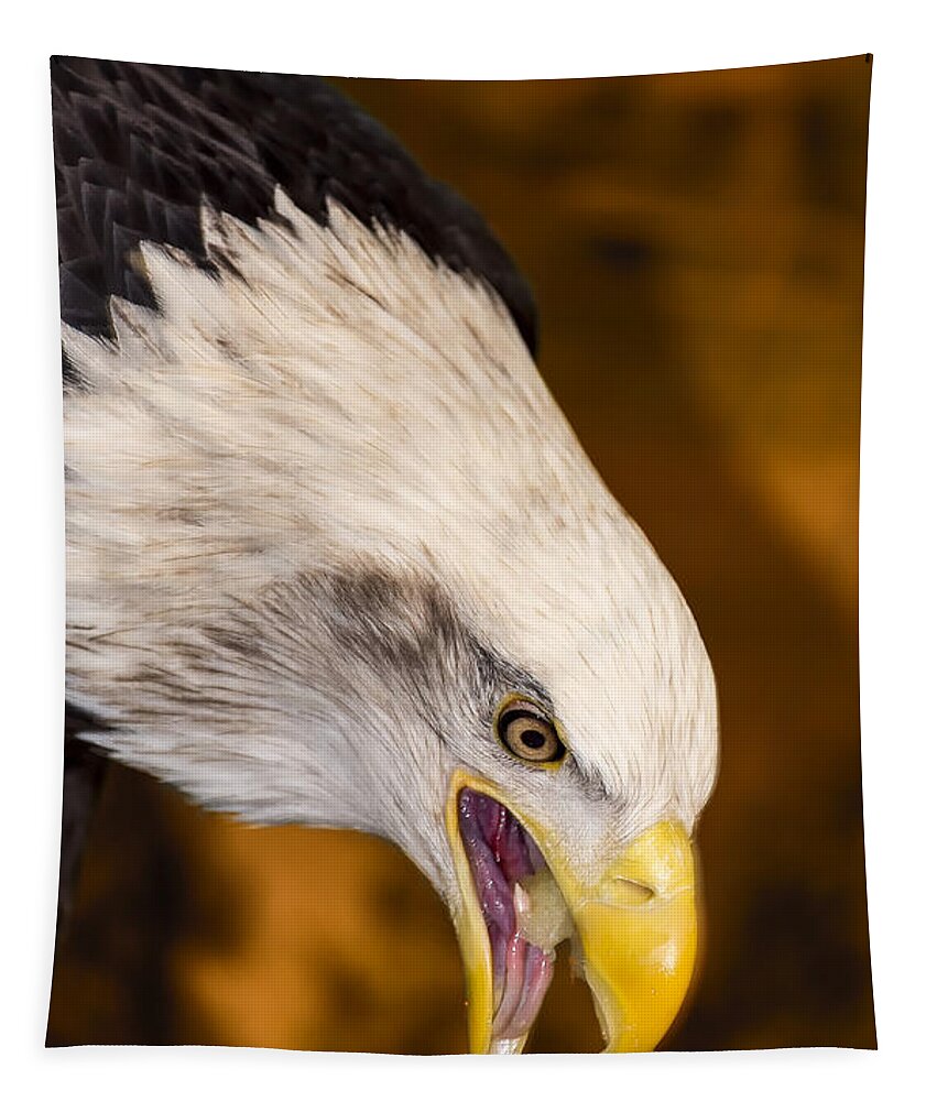 Eagle Tapestry featuring the photograph Edgy Amber Eagle by Bill and Linda Tiepelman