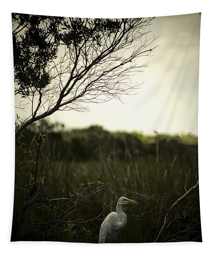 Egret Tapestry featuring the photograph Egret At Sunset by Bradley R Youngberg