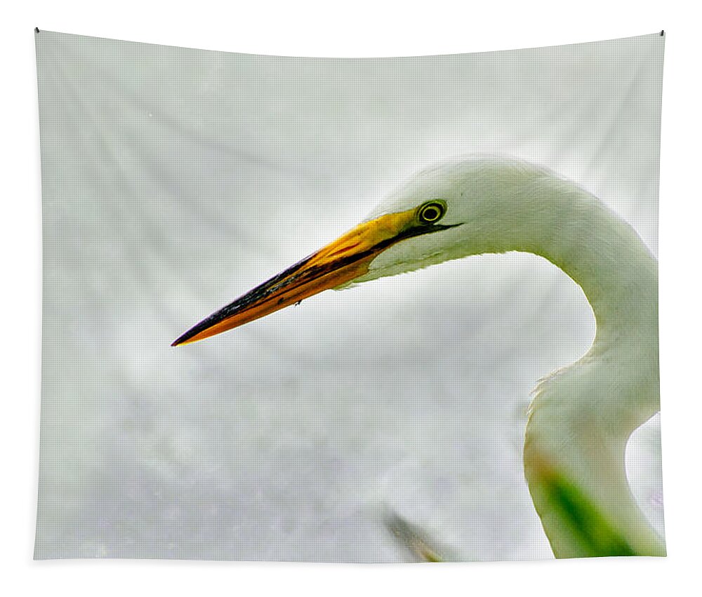 Bird Tapestry featuring the photograph Egret close-up by John Johnson