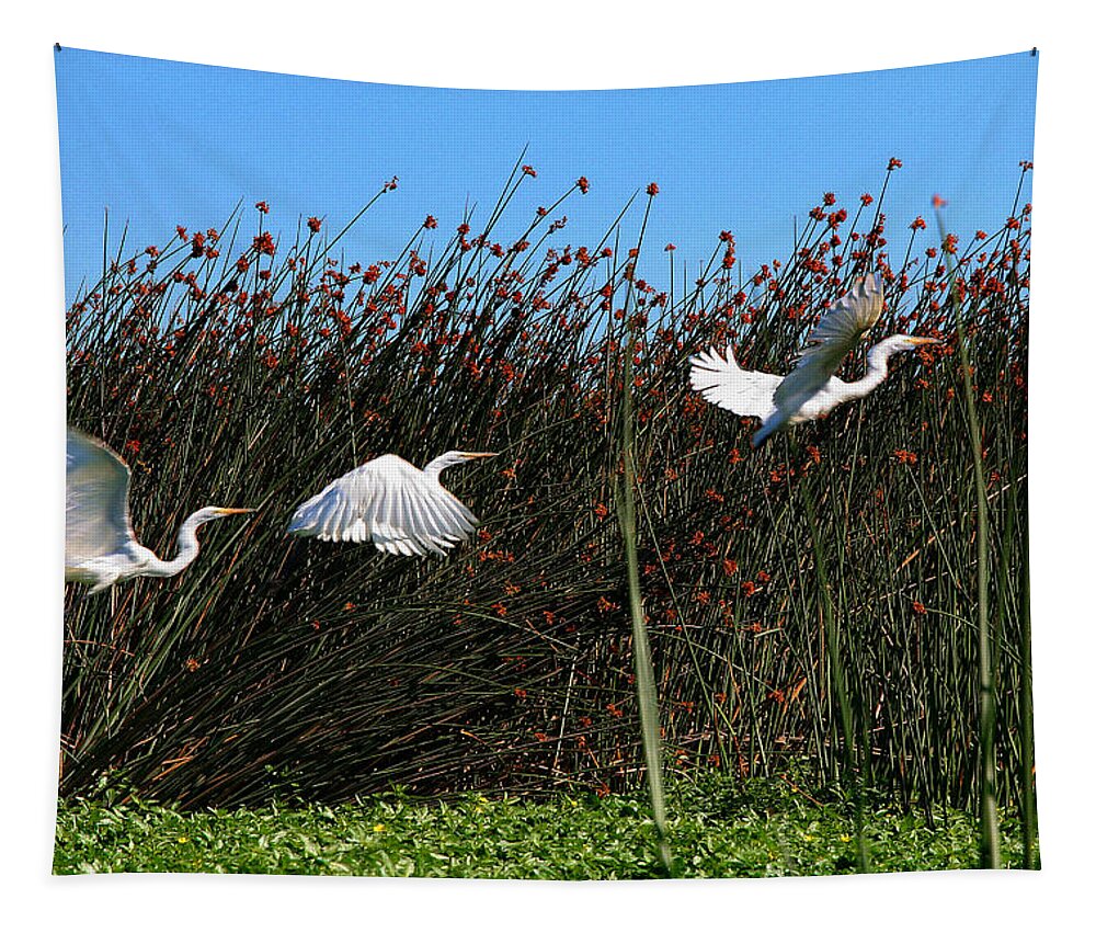 Composite Tapestry featuring the photograph Egret Taking Off by Robert Woodward