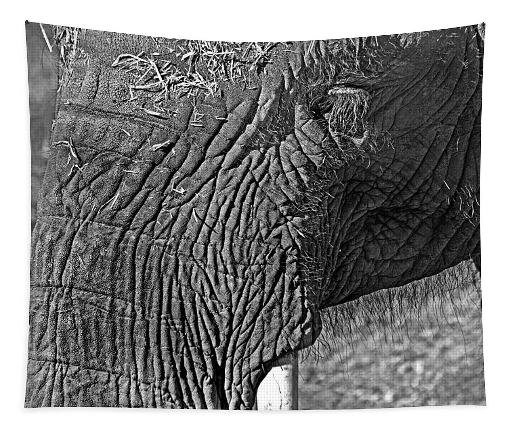African Elephant Tapestry featuring the photograph Elephant.. dont cry by Miroslava Jurcik