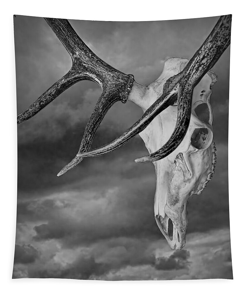 Art Tapestry featuring the photograph Elk Skull with Sky by Randall Nyhof