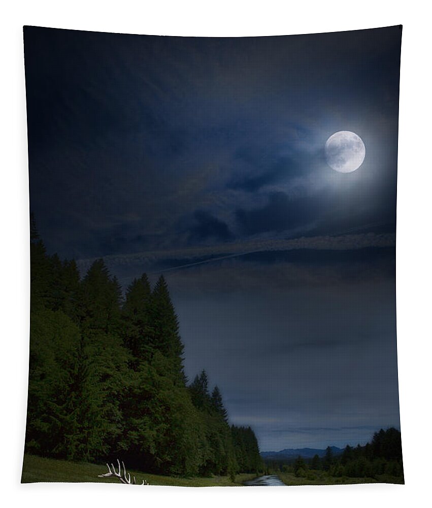 Elk Tapestry featuring the photograph Elk under a Full Moon by Belinda Greb