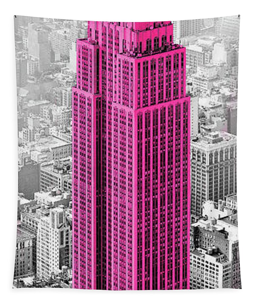 Empire Tapestry featuring the photograph Empire State Of Mind by Shelley Lake