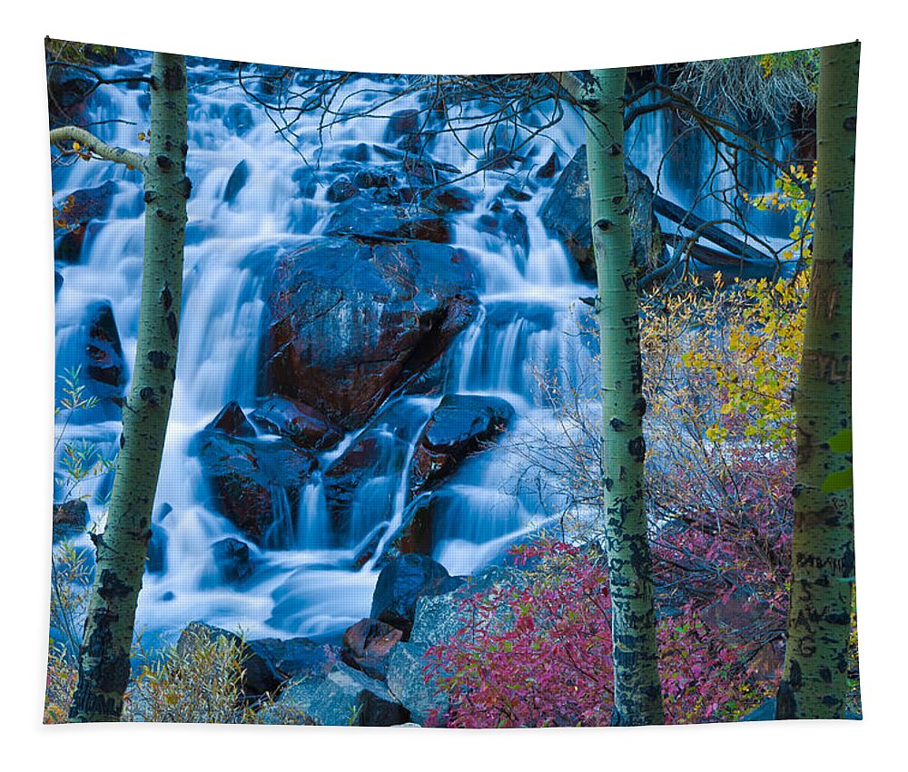 Nature Tapestry featuring the photograph Enchanted by Jonathan Nguyen