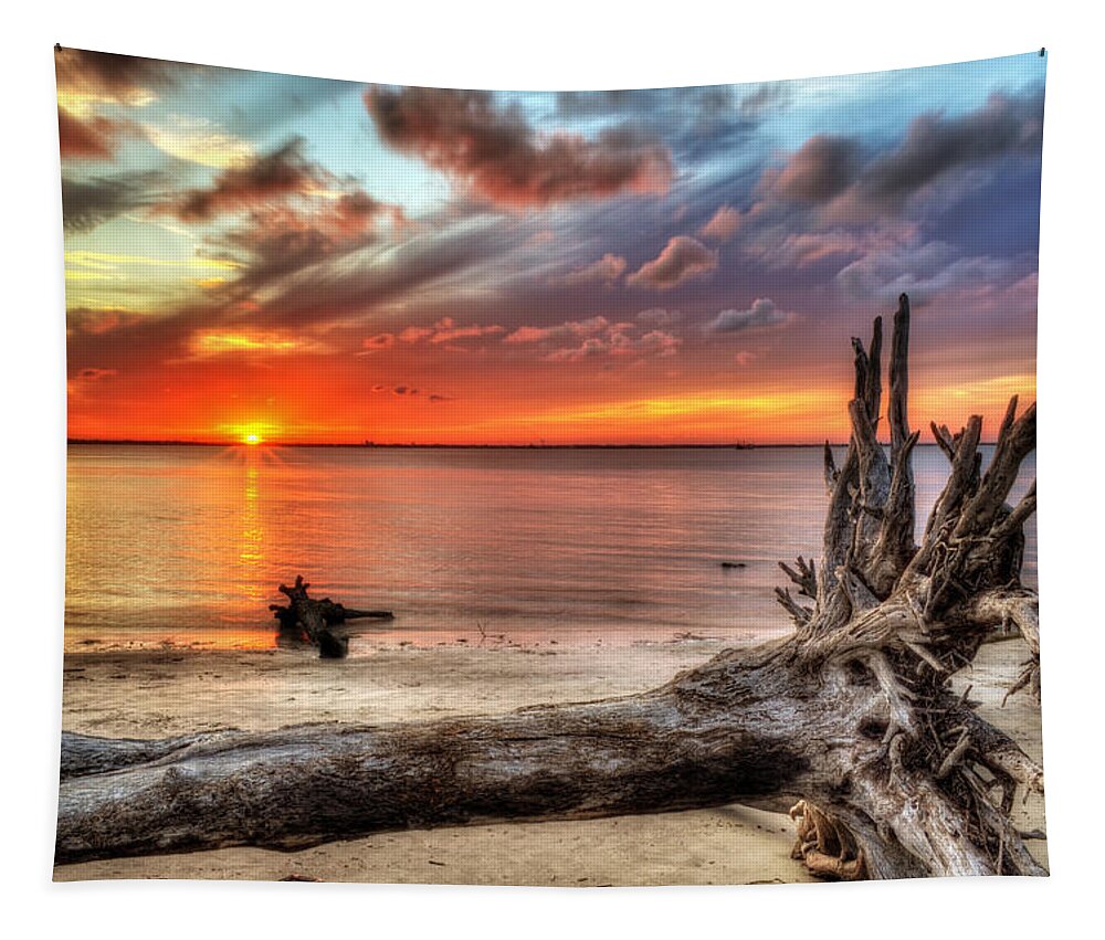 Jekyll Island Tapestry featuring the photograph Endings by Greg and Chrystal Mimbs