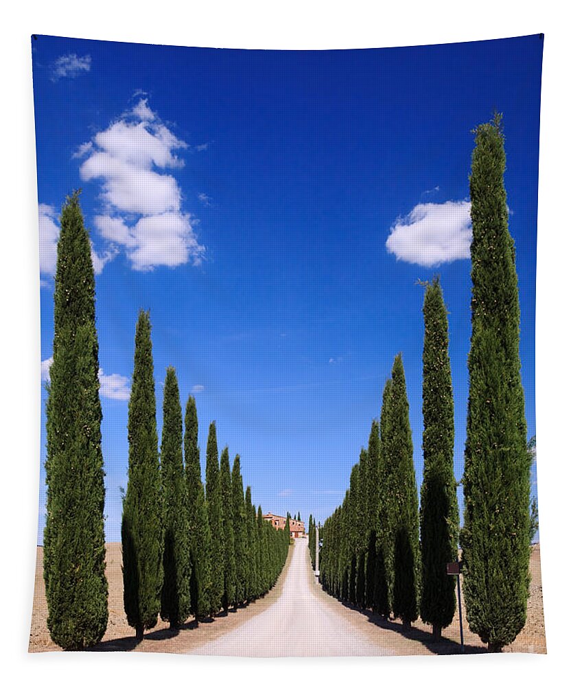 Idyllic Tapestry featuring the photograph Entrance to villa Tuscany - Italy by Matteo Colombo