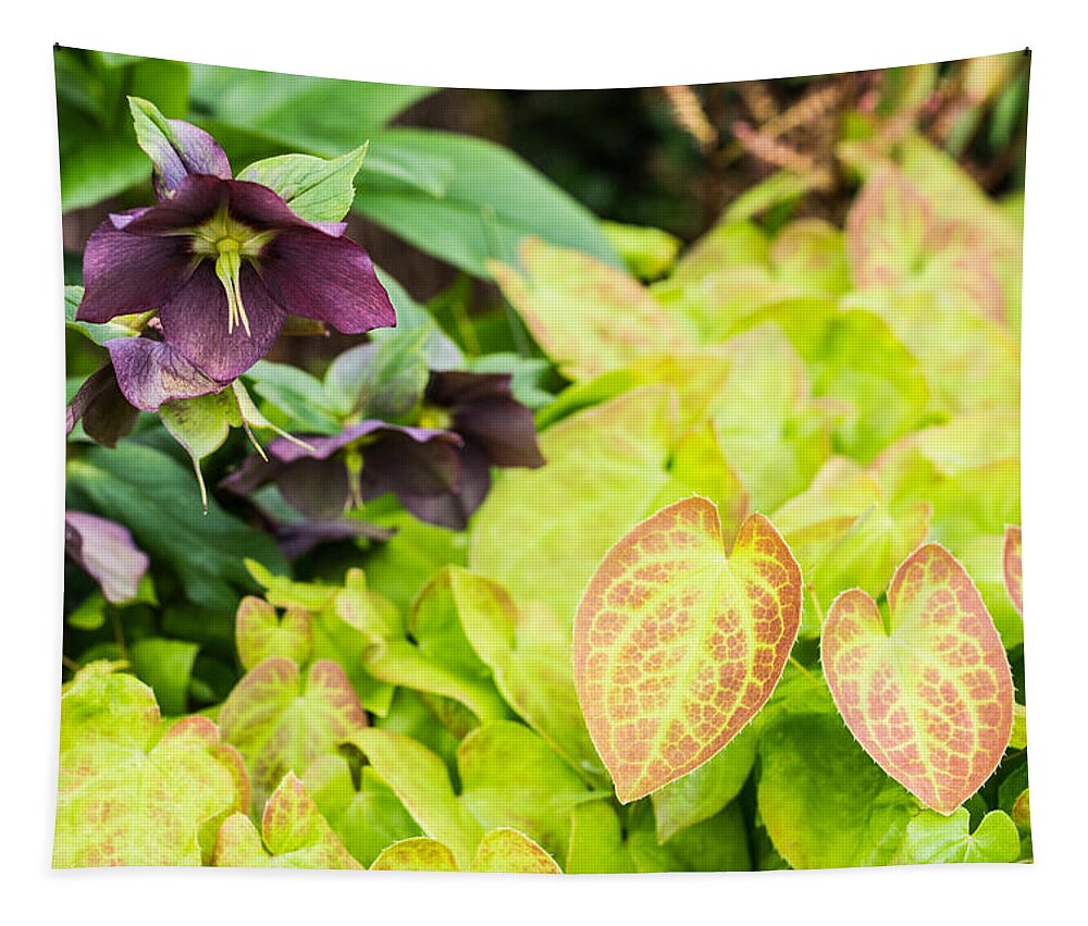 Epimedium Tapestry featuring the photograph Epimedium And Hellebore by Priya Ghose