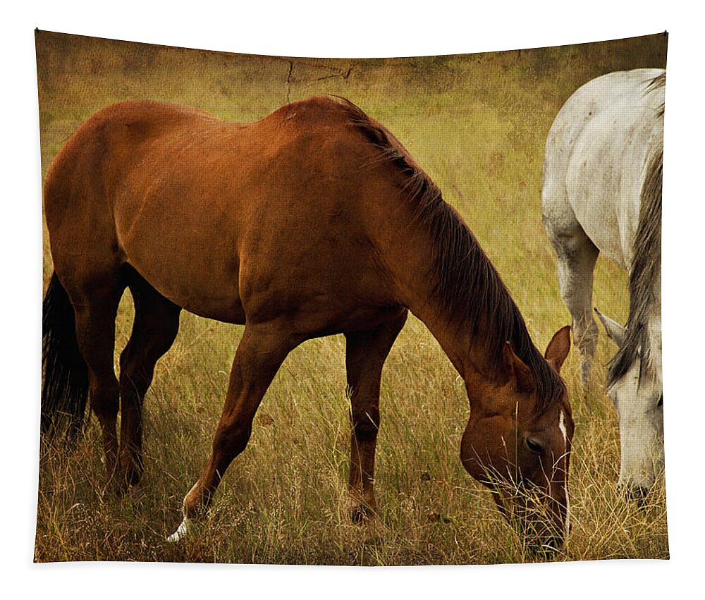 Horse Tapestry featuring the photograph Equine Friends by Theresa Tahara