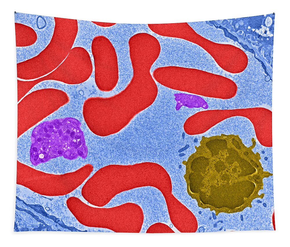 Science Tapestry featuring the photograph Erythrocytes, Platelet And Lymphocyte by Science Source