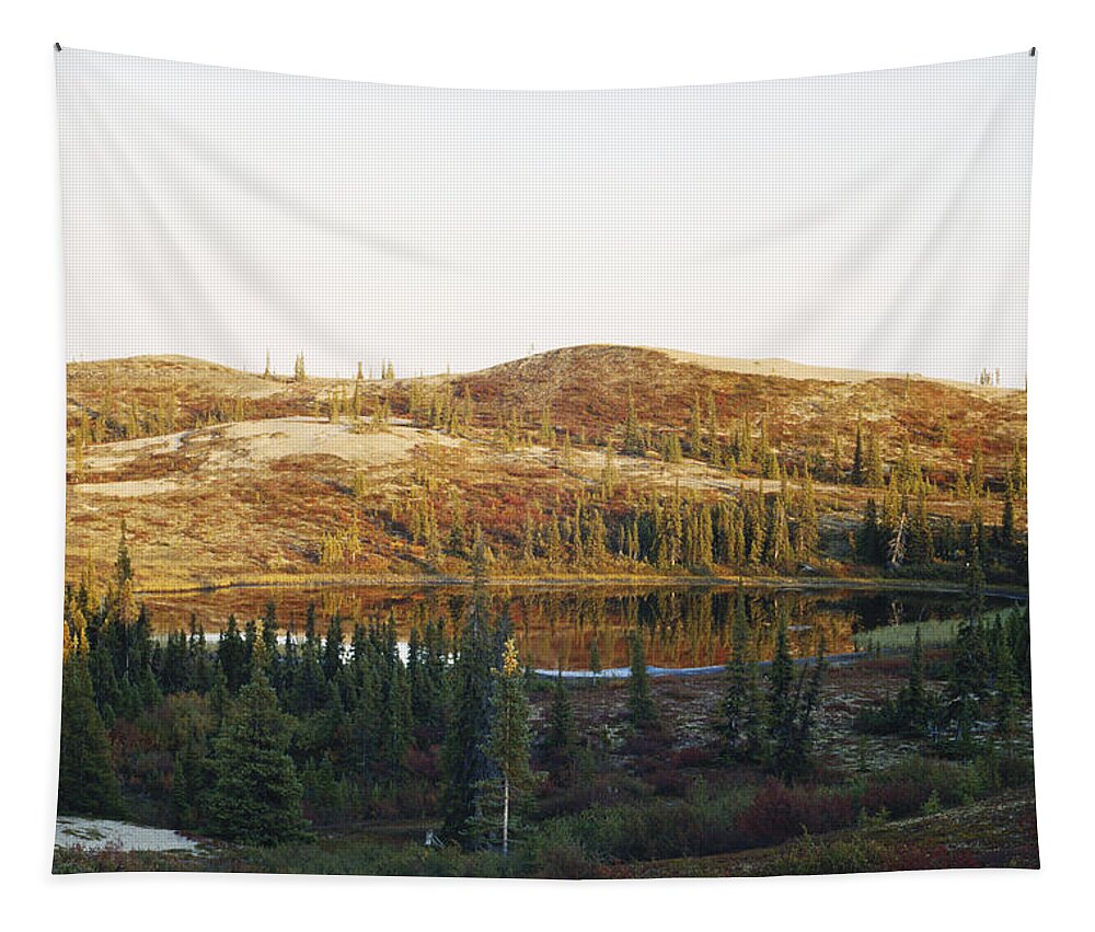 Autumn Flora Tapestry featuring the photograph Esker And Pond by Thomas And Pat Leeson